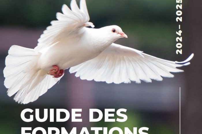 Le nouveau Guide des Formations
